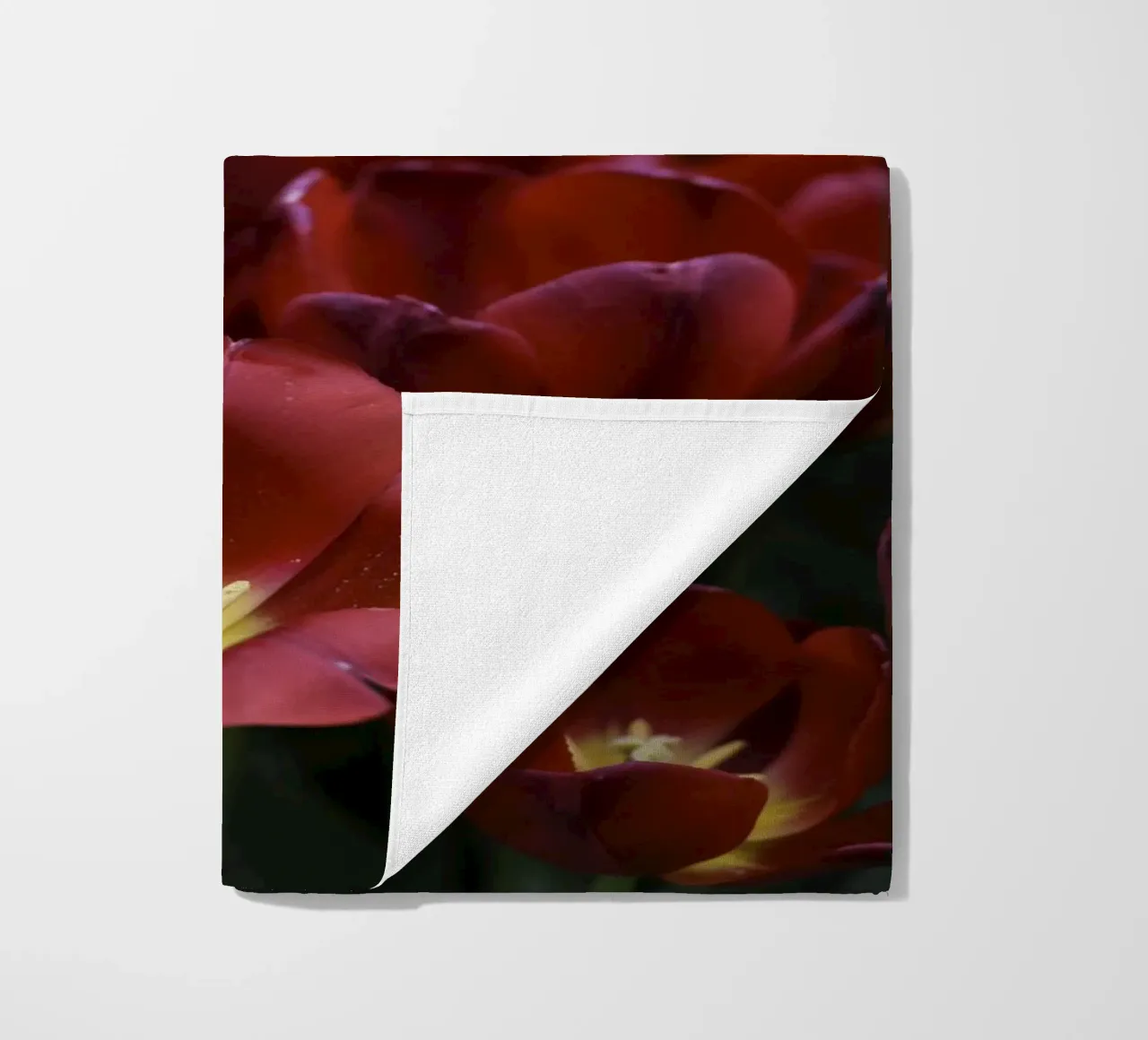 Passion in Nature – The Allure of a Red Tulip telo mare da Curious Collections by Marielle Leenders