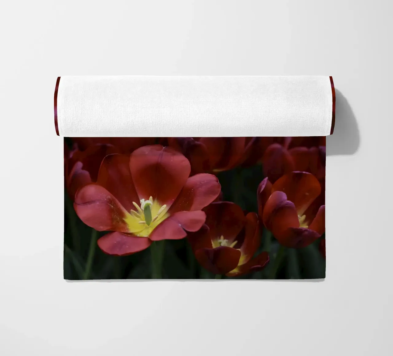 Passion in Nature – The Allure of a Red Tulip telo mare da Curious Collections by Marielle Leenders