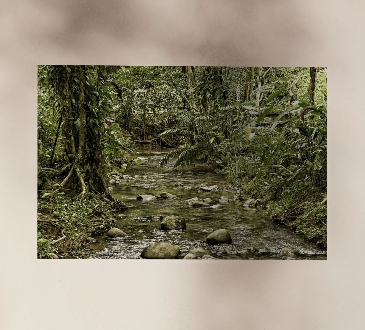 Jungle Stream – A Serene Oasis in the Wilderness pellicola backlit da Curious Collections by Marielle Leenders