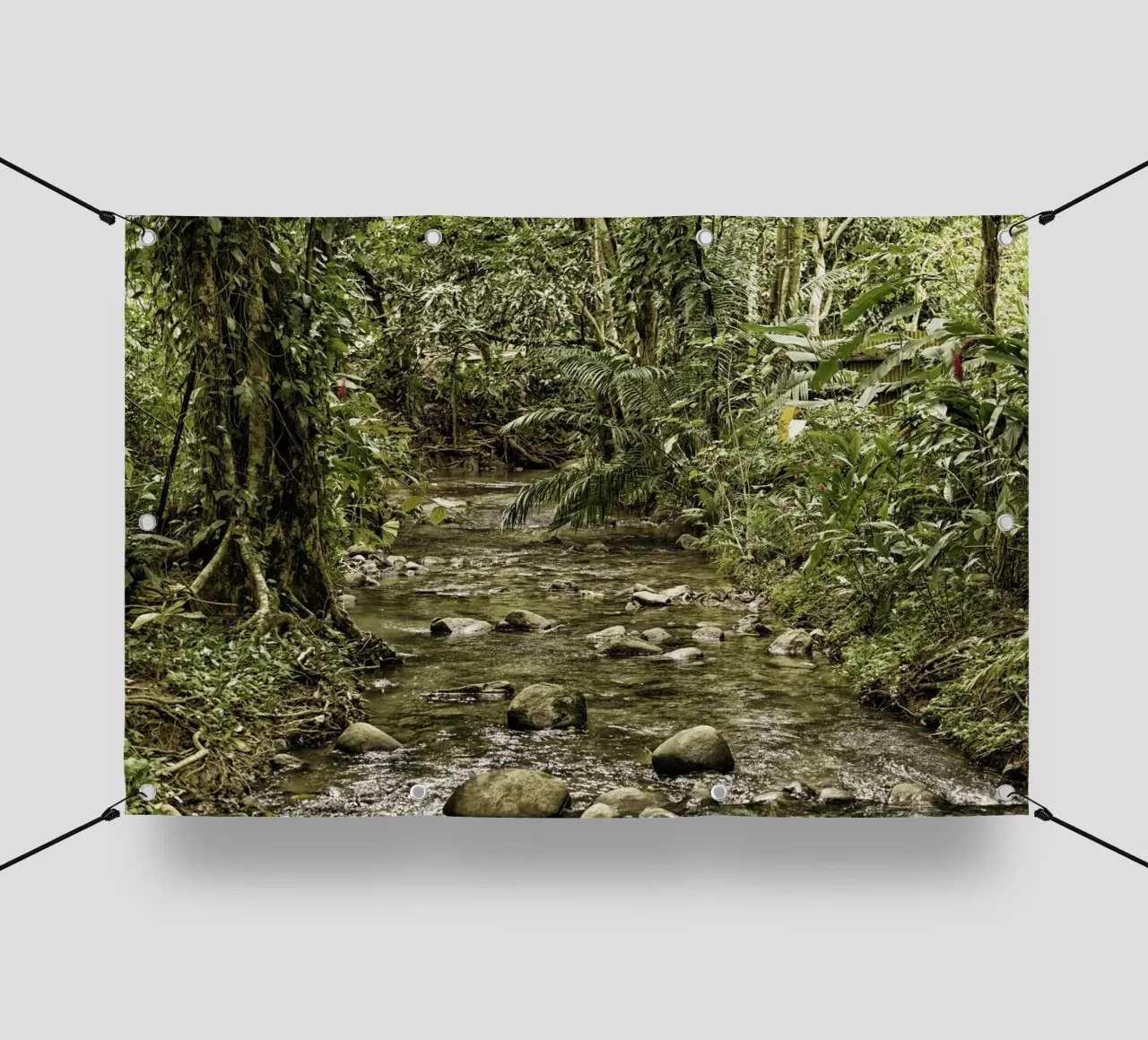 Jungle Stream – A Serene Oasis in the Wilderness lonas publicitarias de Curious Collections by Marielle Leenders