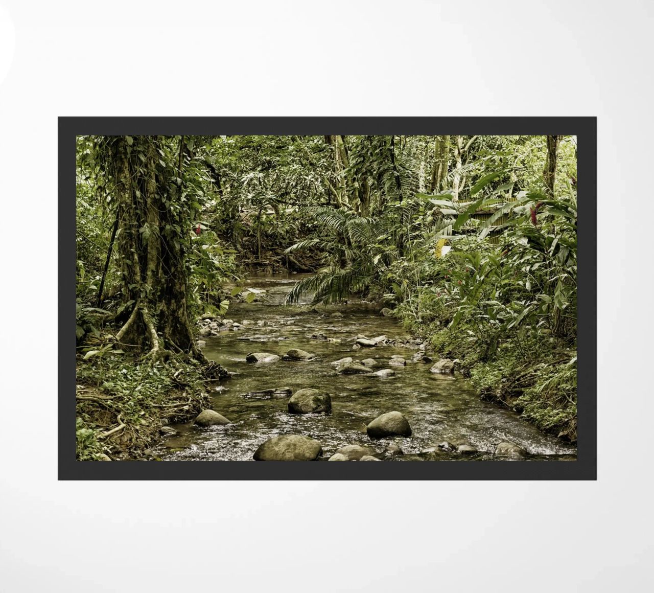 Jungle Stream – A Serene Oasis in the Wilderness zerbino da Curious Collections by Marielle Leenders