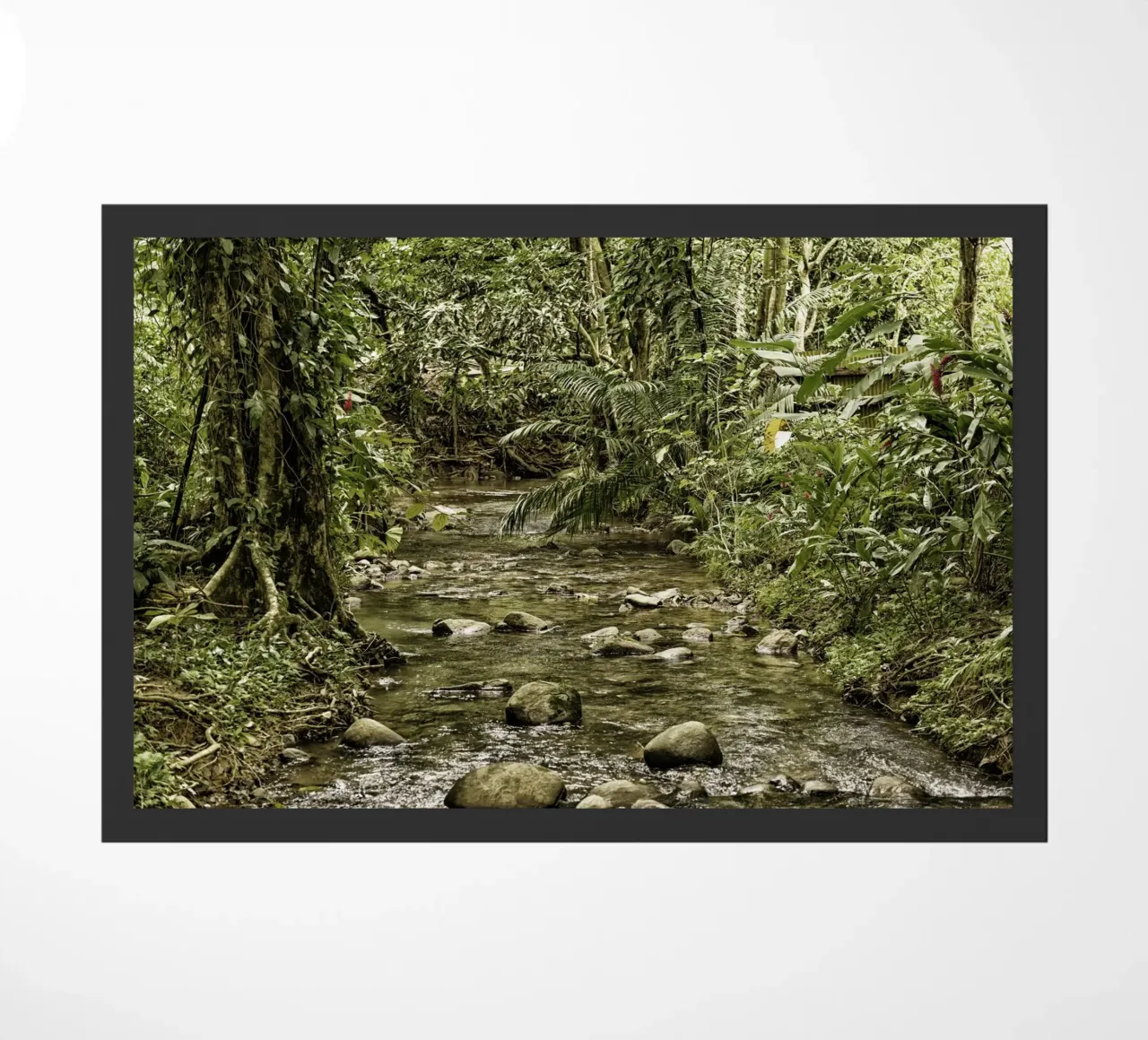 Jungle Stream – A Serene Oasis in the Wilderness felpudo de Curious Collections by Marielle Leenders