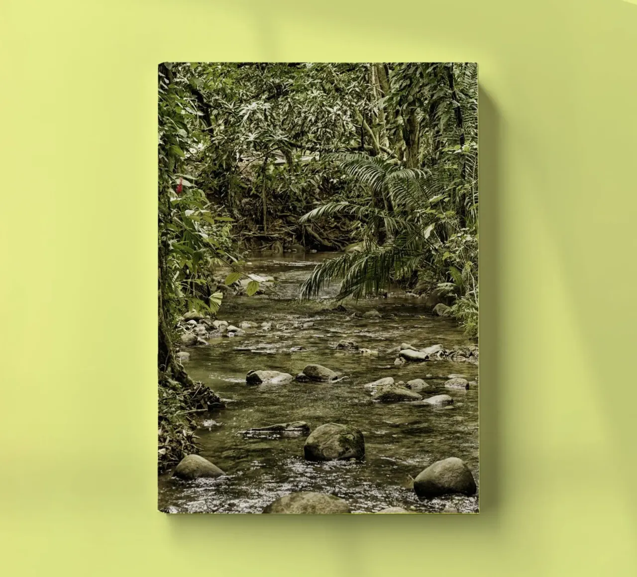 Jungle Stream – A Serene Oasis in the Wilderness diario da Curious Collections by Marielle Leenders
