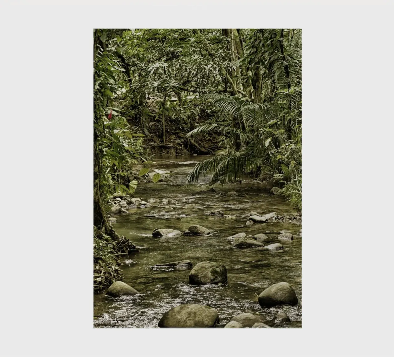 Jungle Stream – A Serene Oasis in the Wilderness diario da Curious Collections by Marielle Leenders