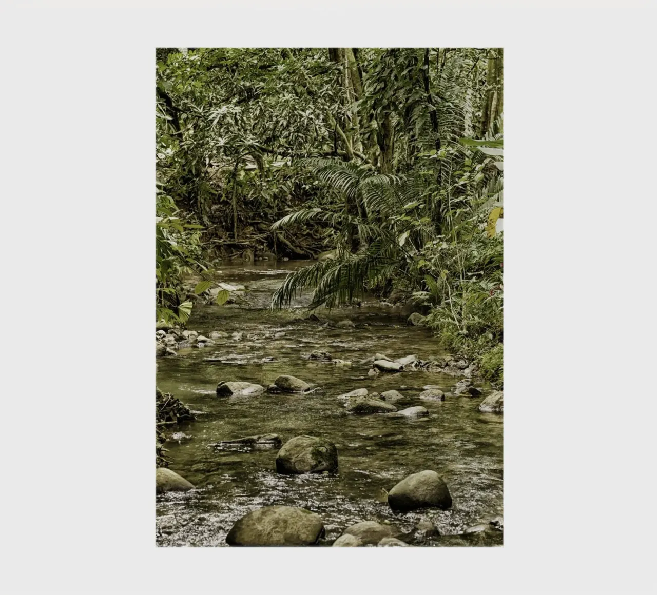 Jungle Stream – A Serene Oasis in the Wilderness diario da Curious Collections by Marielle Leenders