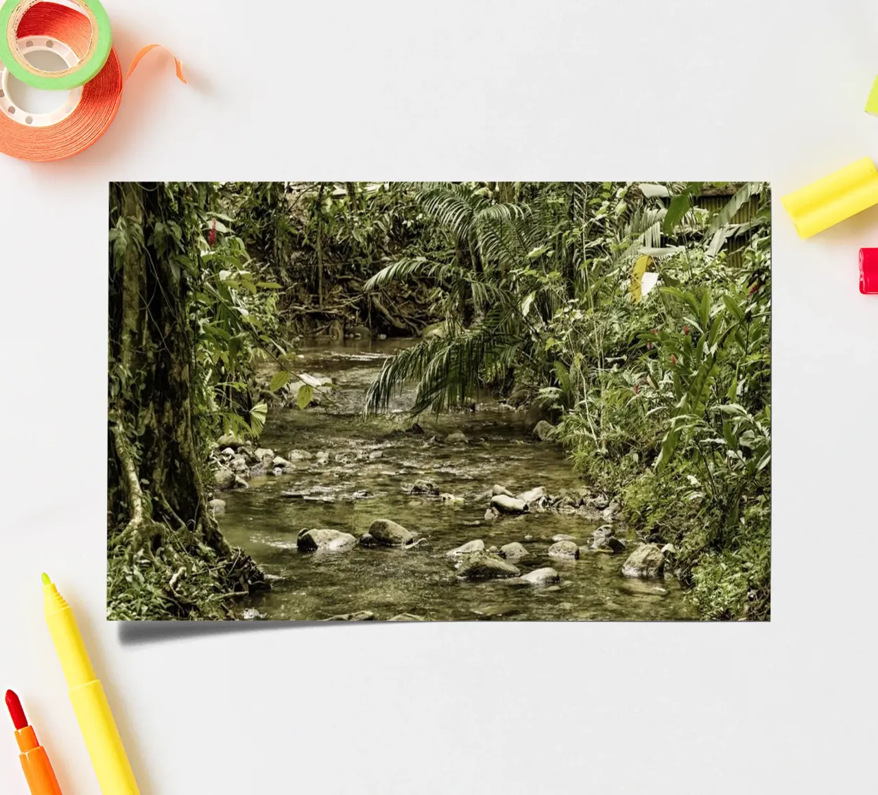 Jungle Stream – A Serene Oasis in the Wilderness foglio adesivo da Curious Collections by Marielle Leenders