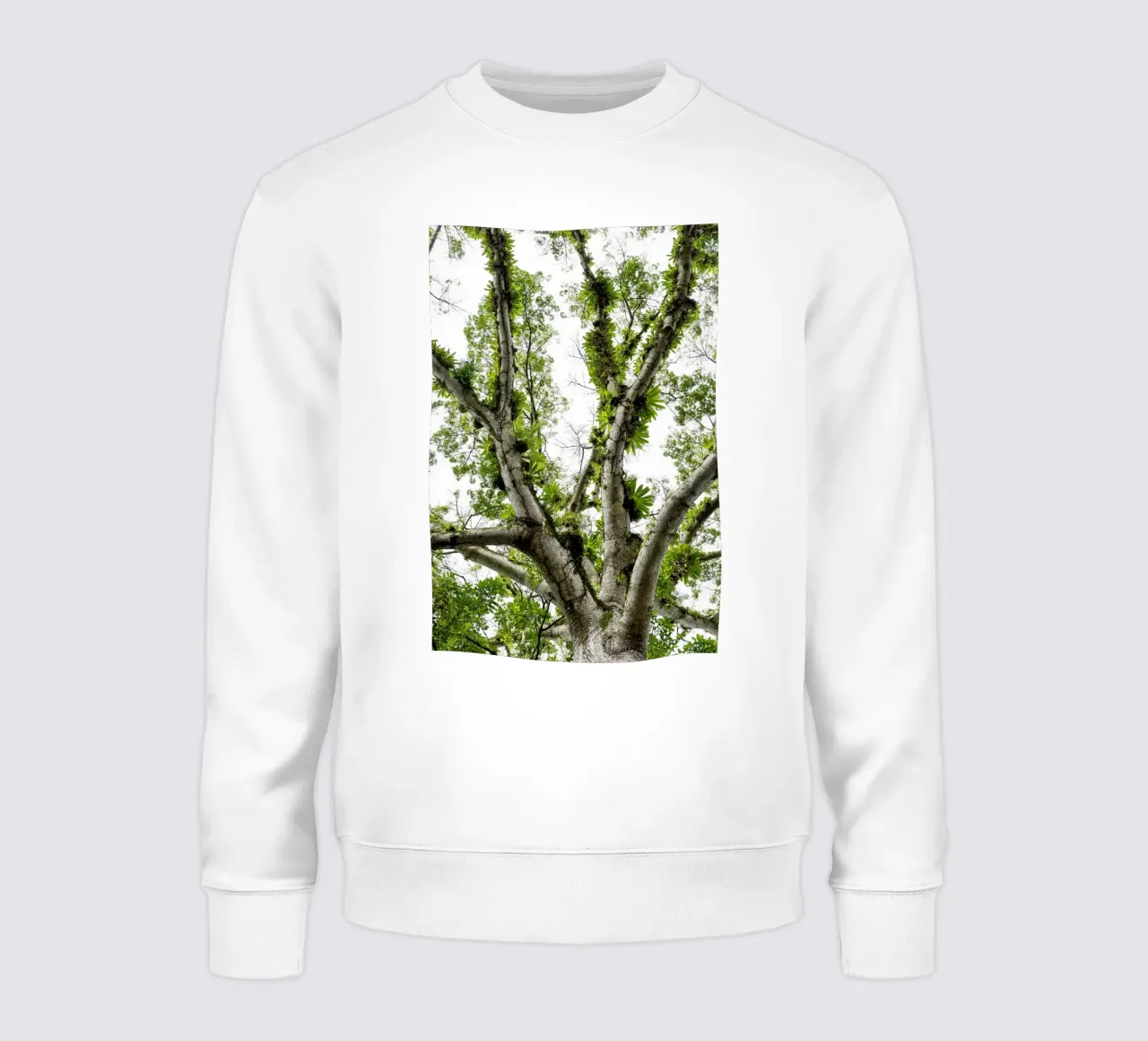 Underneath a Tropical Tree – A Canopy of Nature's Wonders felpa da Curious Collections by Marielle Leenders