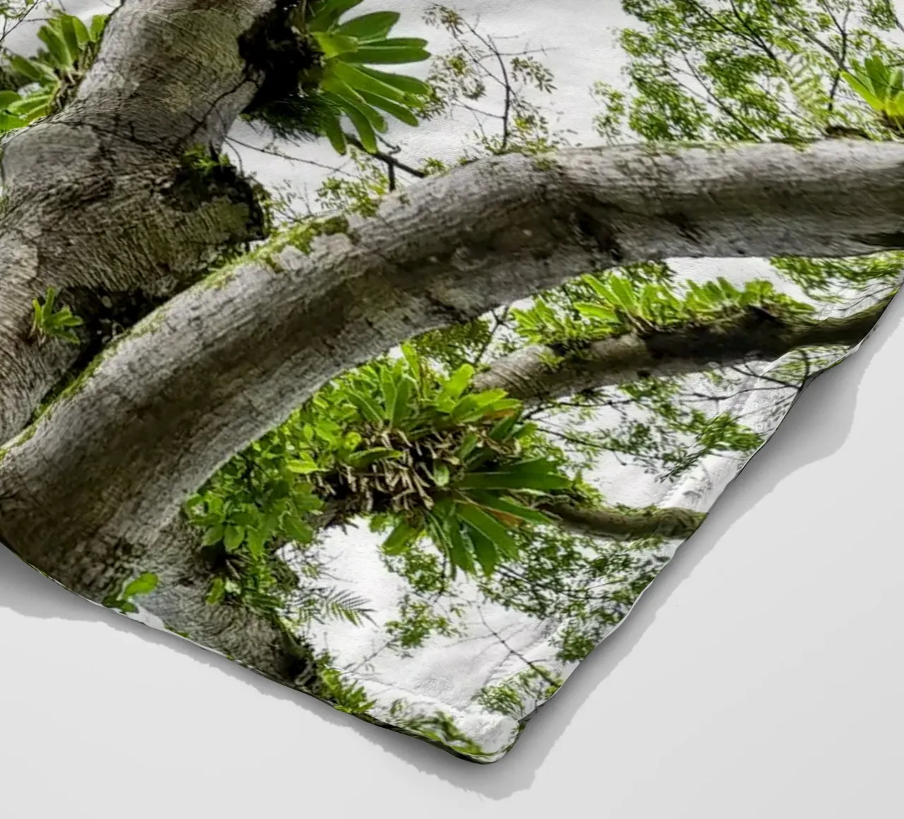 Underneath a Tropical Tree – A Canopy of Nature's Wonders coperta in pile da Curious Collections by Marielle Leenders