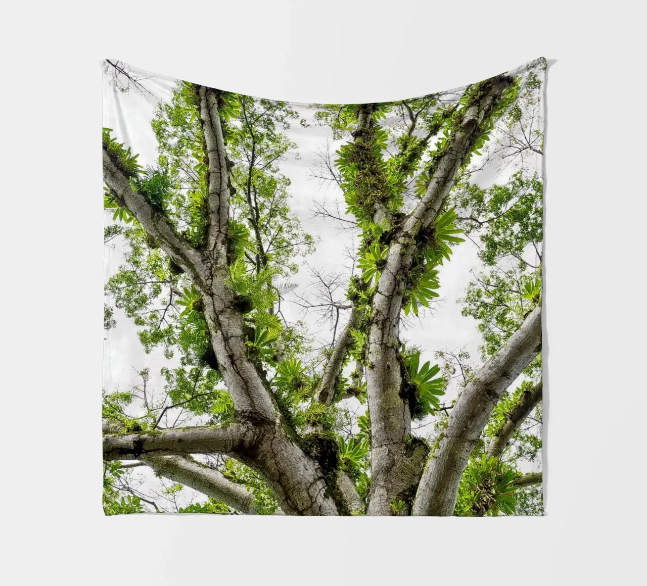 Underneath a Tropical Tree – A Canopy of Nature's Wonders coperta in pile da Curious Collections by Marielle Leenders