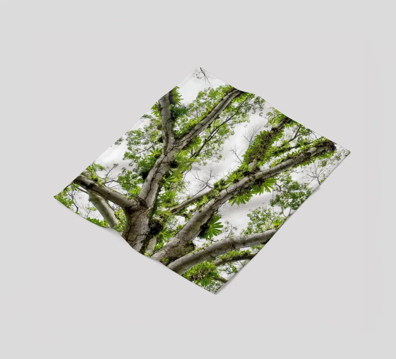 Underneath a Tropical Tree – A Canopy of Nature's Wonders coperta in pile da Curious Collections by Marielle Leenders