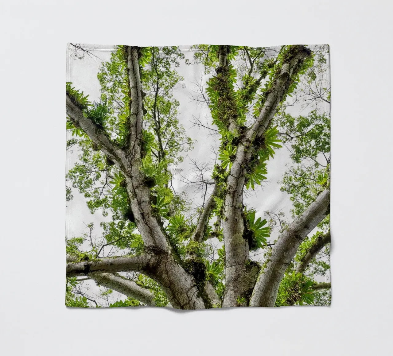 Underneath a Tropical Tree – A Canopy of Nature's Wonders coperta in pile da Curious Collections by Marielle Leenders