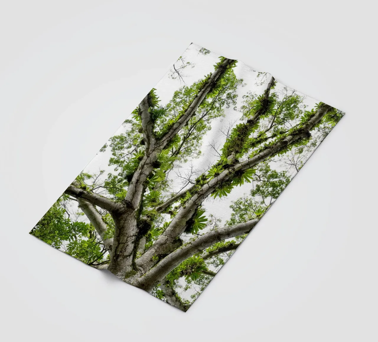 Underneath a Tropical Tree – A Canopy of Nature's Wonders coperta in pile da Curious Collections by Marielle Leenders
