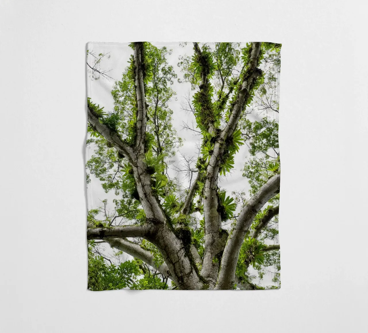 Underneath a Tropical Tree – A Canopy of Nature's Wonders coperta in pile da Curious Collections by Marielle Leenders