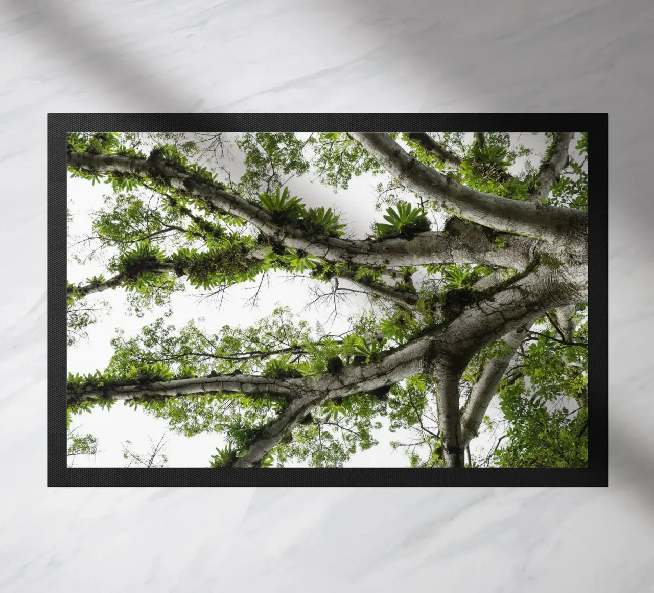 Underneath a Tropical Tree – A Canopy of Nature's Wonders zerbino da Curious Collections by Marielle Leenders