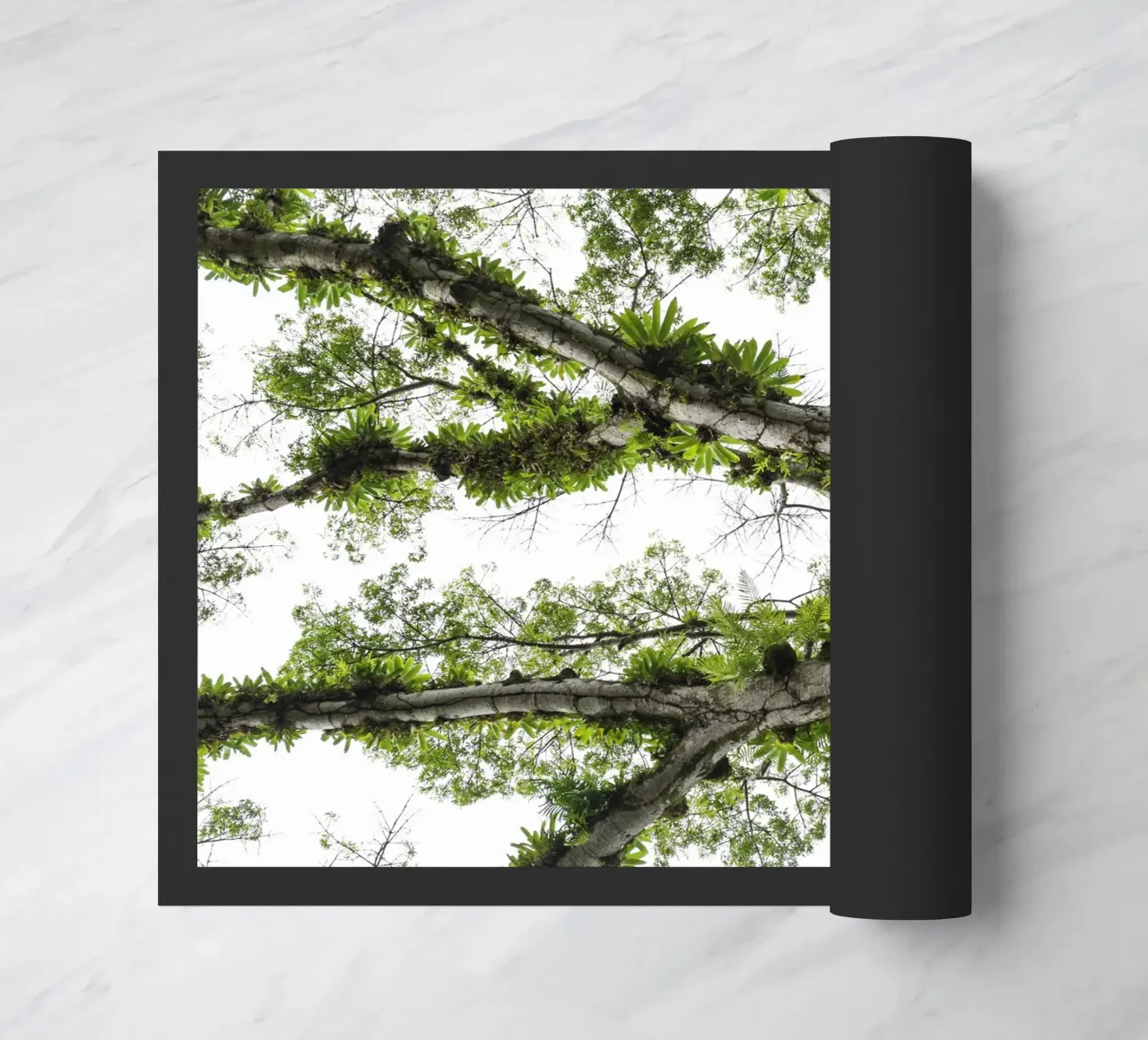 Underneath a Tropical Tree – A Canopy of Nature's Wonders zerbino da Curious Collections by Marielle Leenders