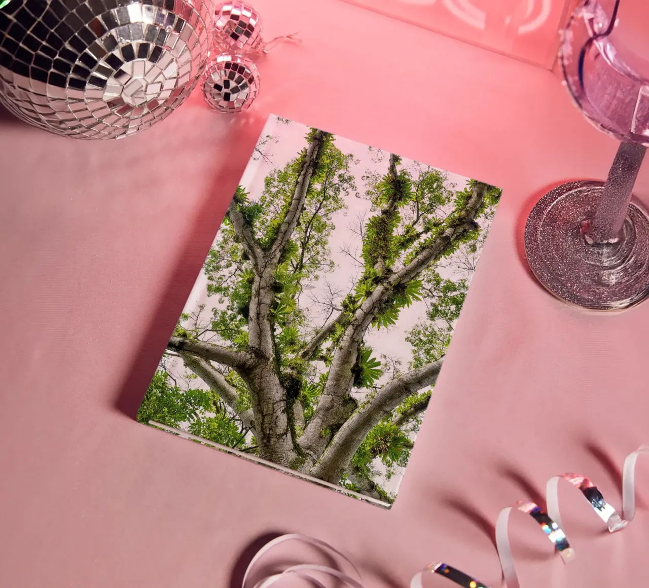 Underneath a Tropical Tree – A Canopy of Nature's Wonders diario da Curious Collections by Marielle Leenders