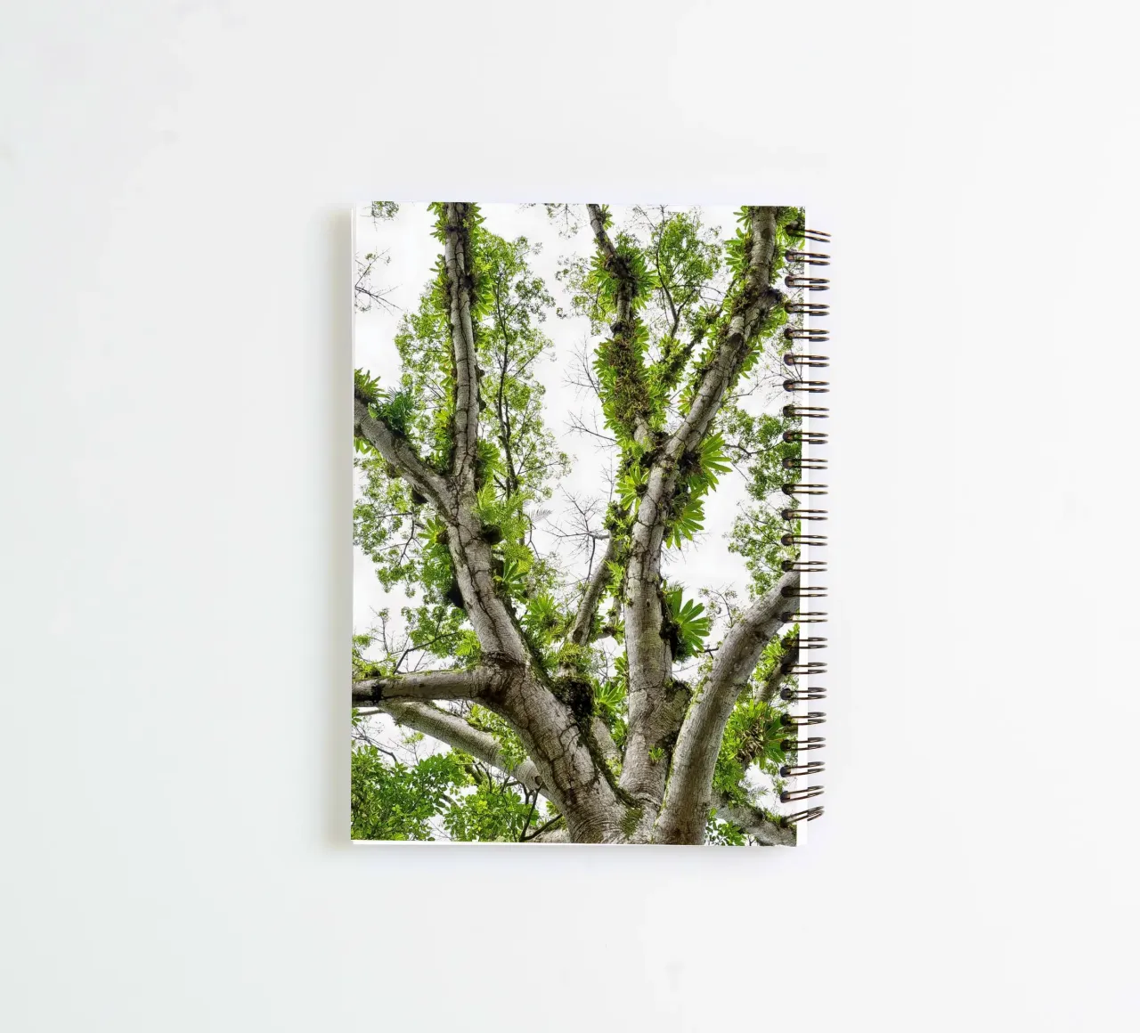 Underneath a Tropical Tree – A Canopy of Nature's Wonders spiral notebook by Curious Collections by Marielle Leenders