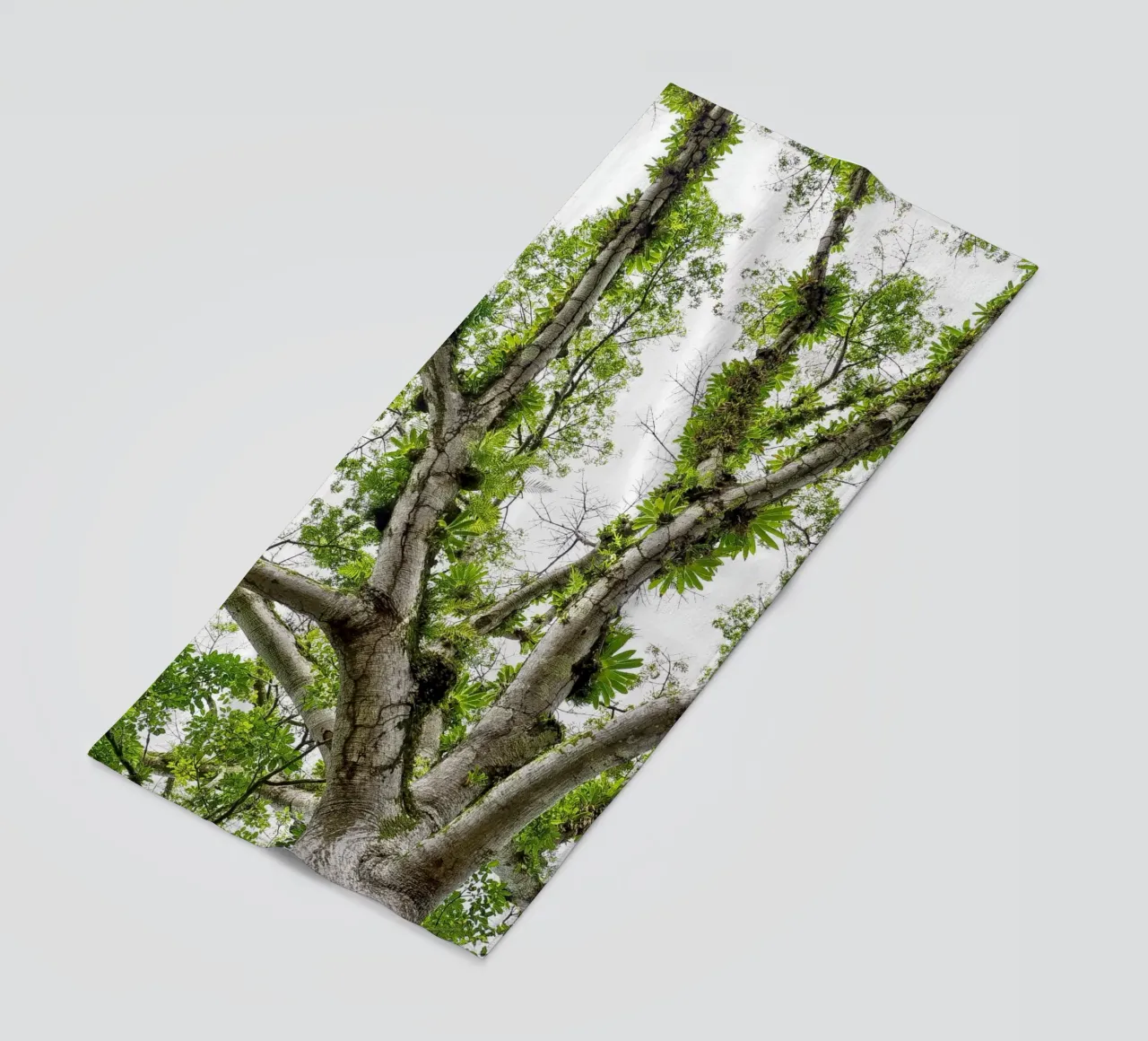 Underneath a Tropical Tree – A Canopy of Nature's Wonders telo mare da Curious Collections by Marielle Leenders