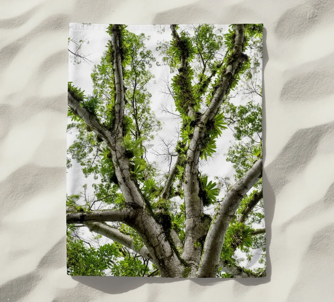 Underneath a Tropical Tree – A Canopy of Nature's Wonders telo mare da Curious Collections by Marielle Leenders