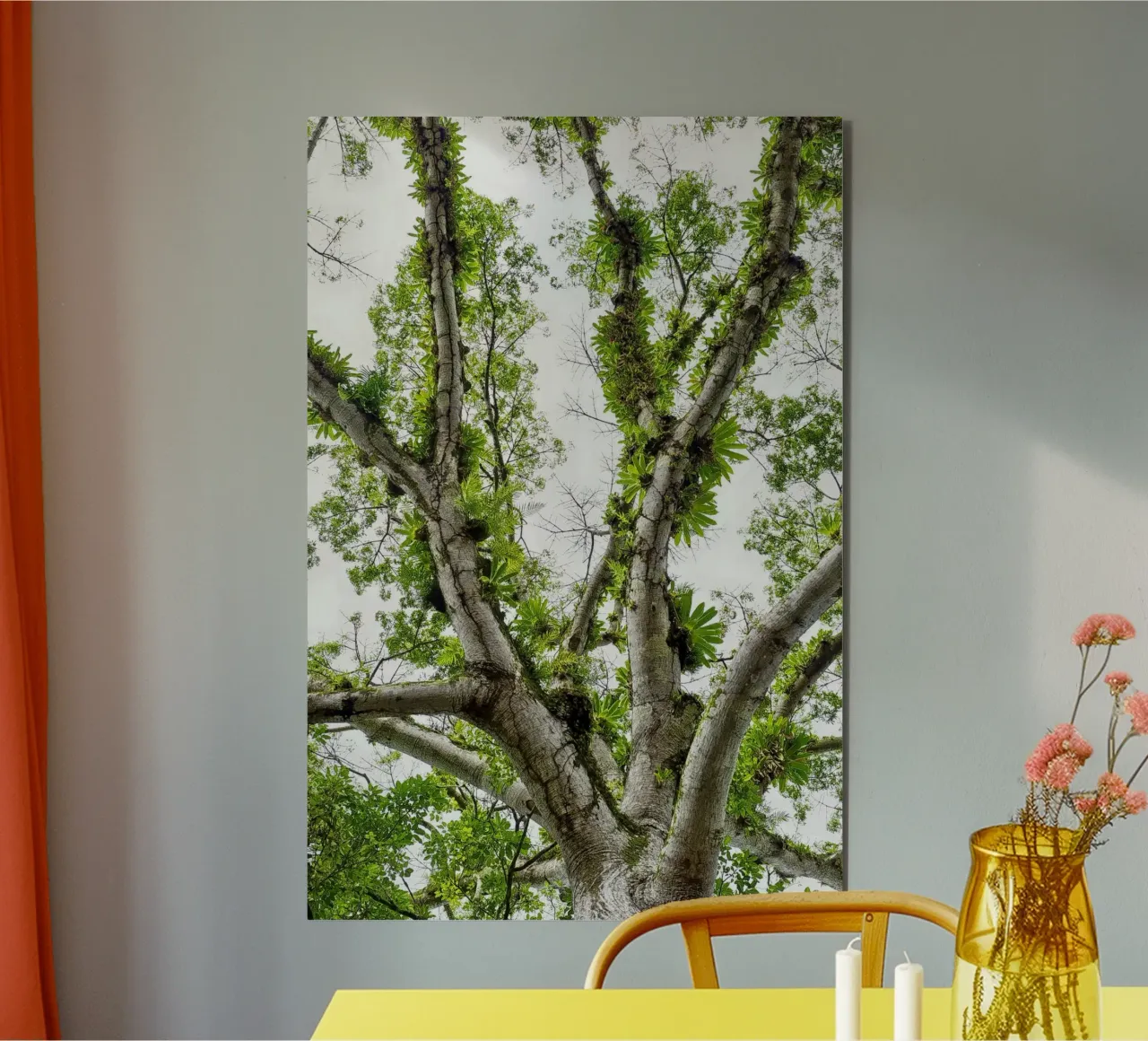 Underneath a Tropical Tree – A Canopy of Nature's Wonders alluminio dibond da Curious Collections by Marielle Leenders