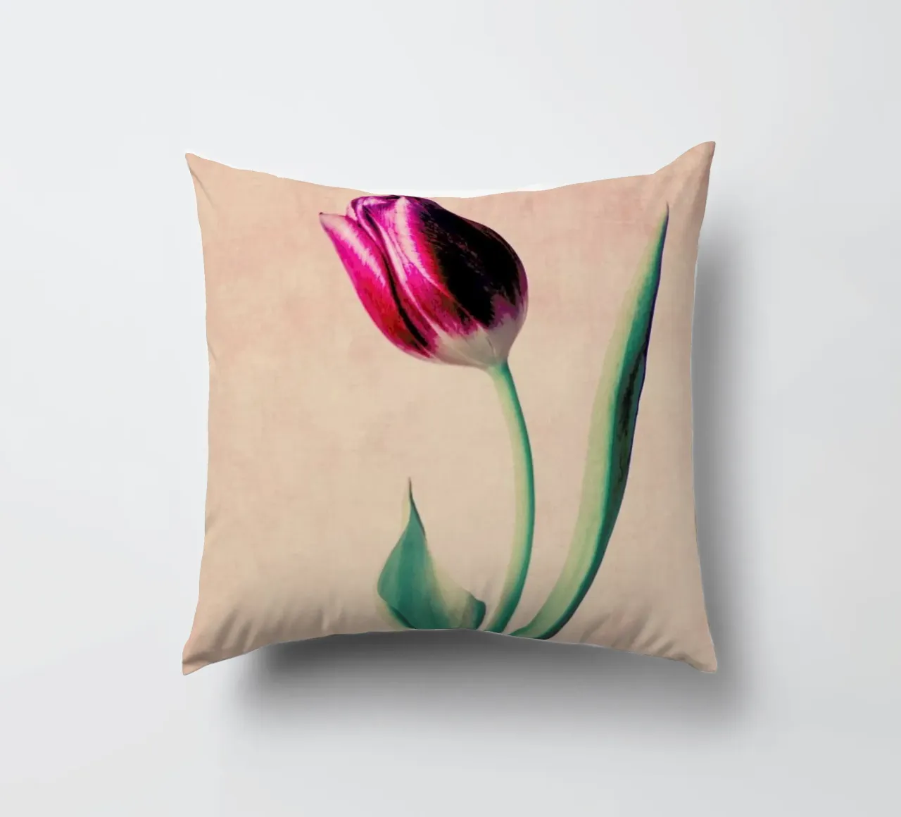 Tulip cuscino da Ingrid Beddoes