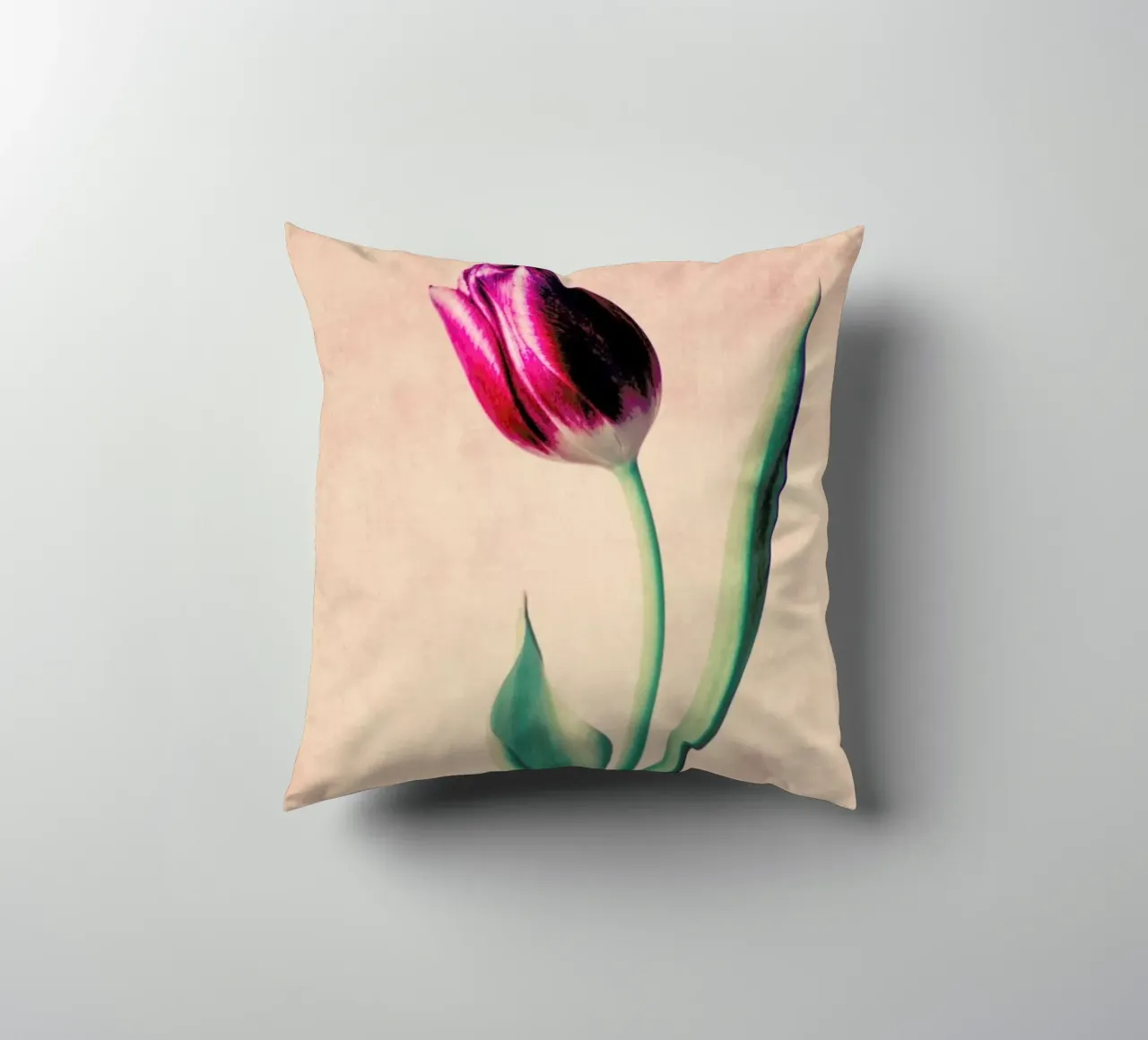 Tulip cuscino da Ingrid Beddoes