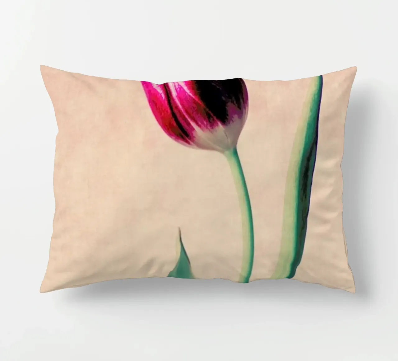 Tulip cuscino da Ingrid Beddoes