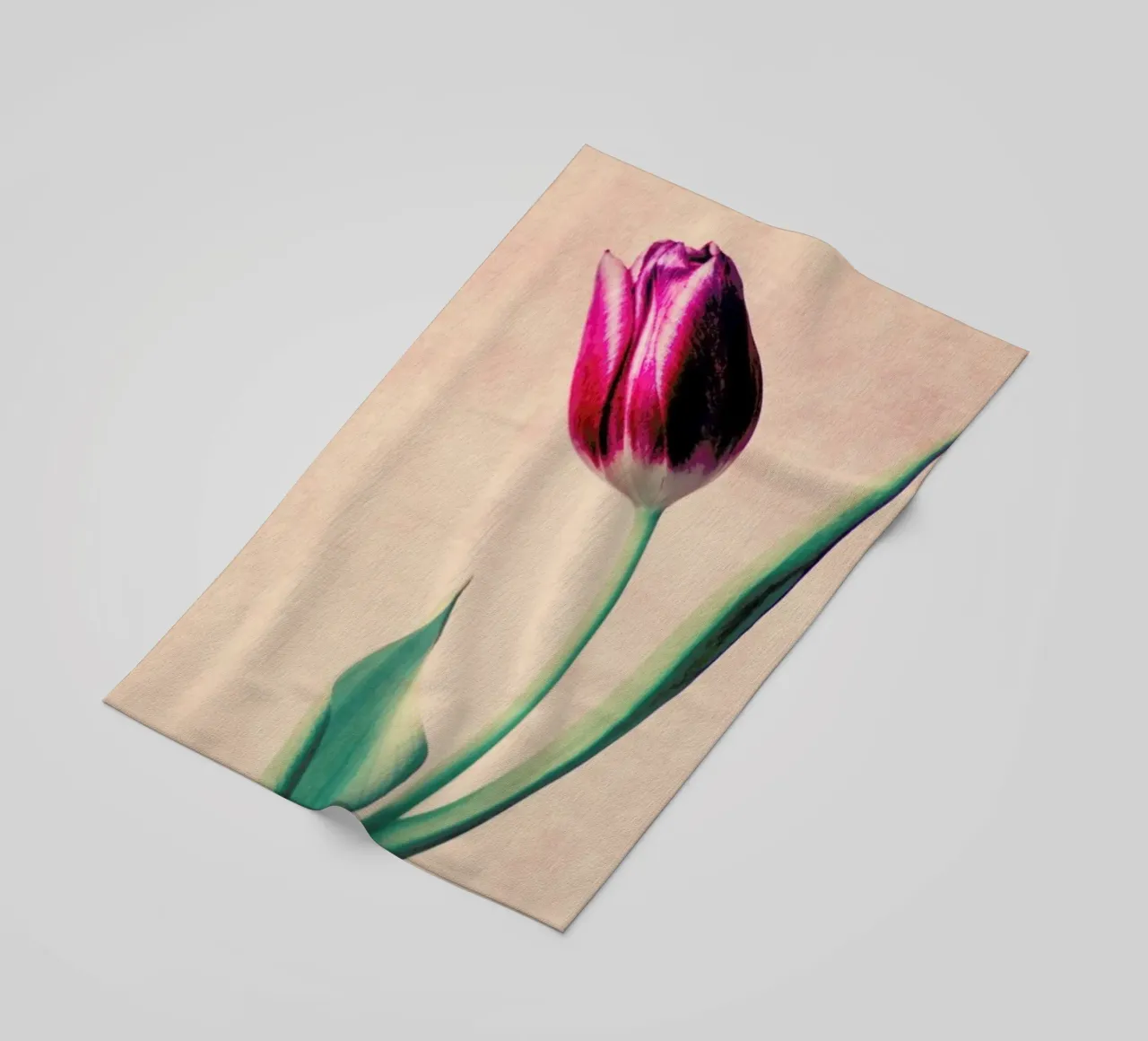 Tulip telo mare da Ingrid Beddoes