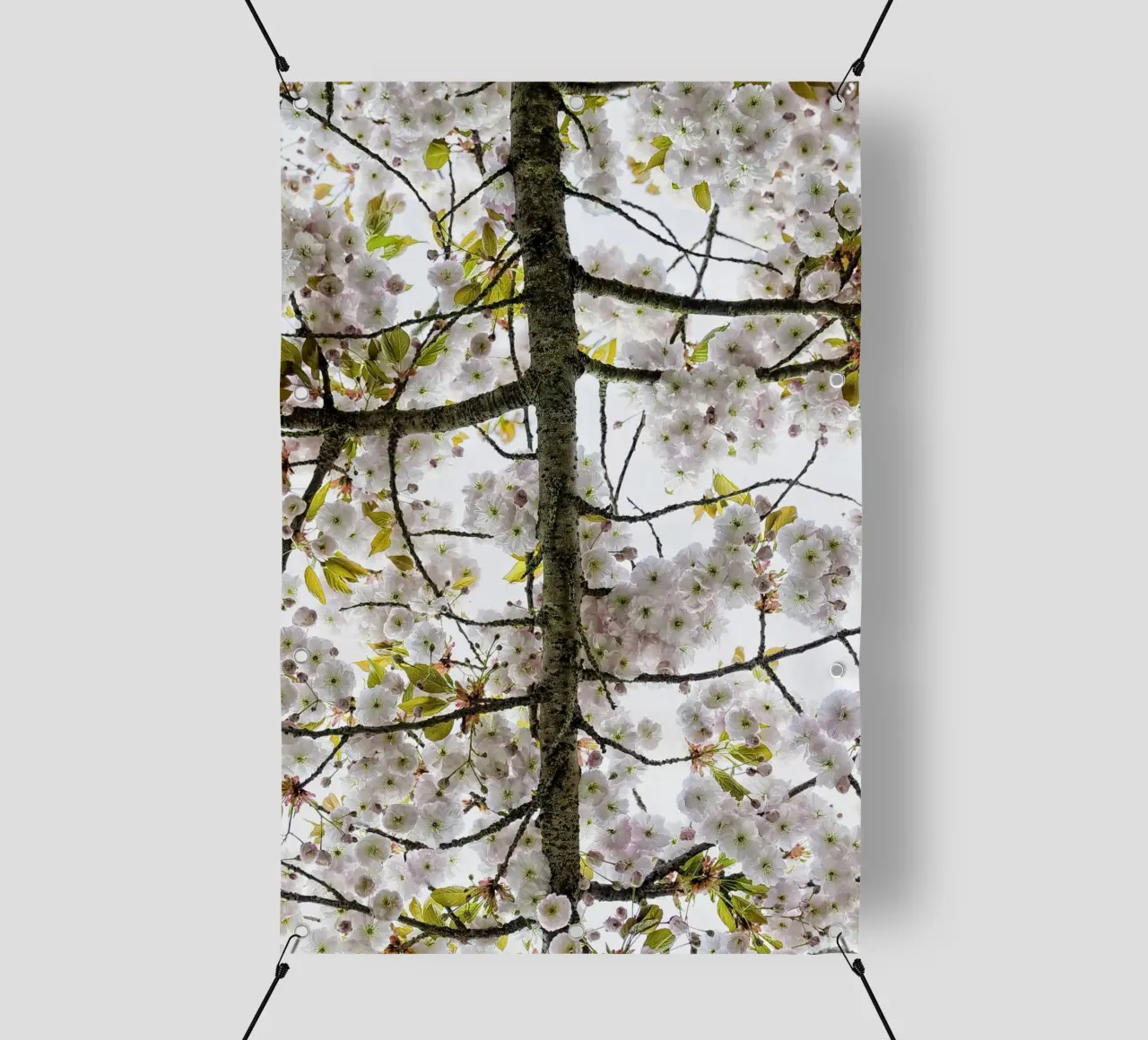 Underneath a Blossoming Tree telo in pvc da Curious Collections by Marielle Leenders