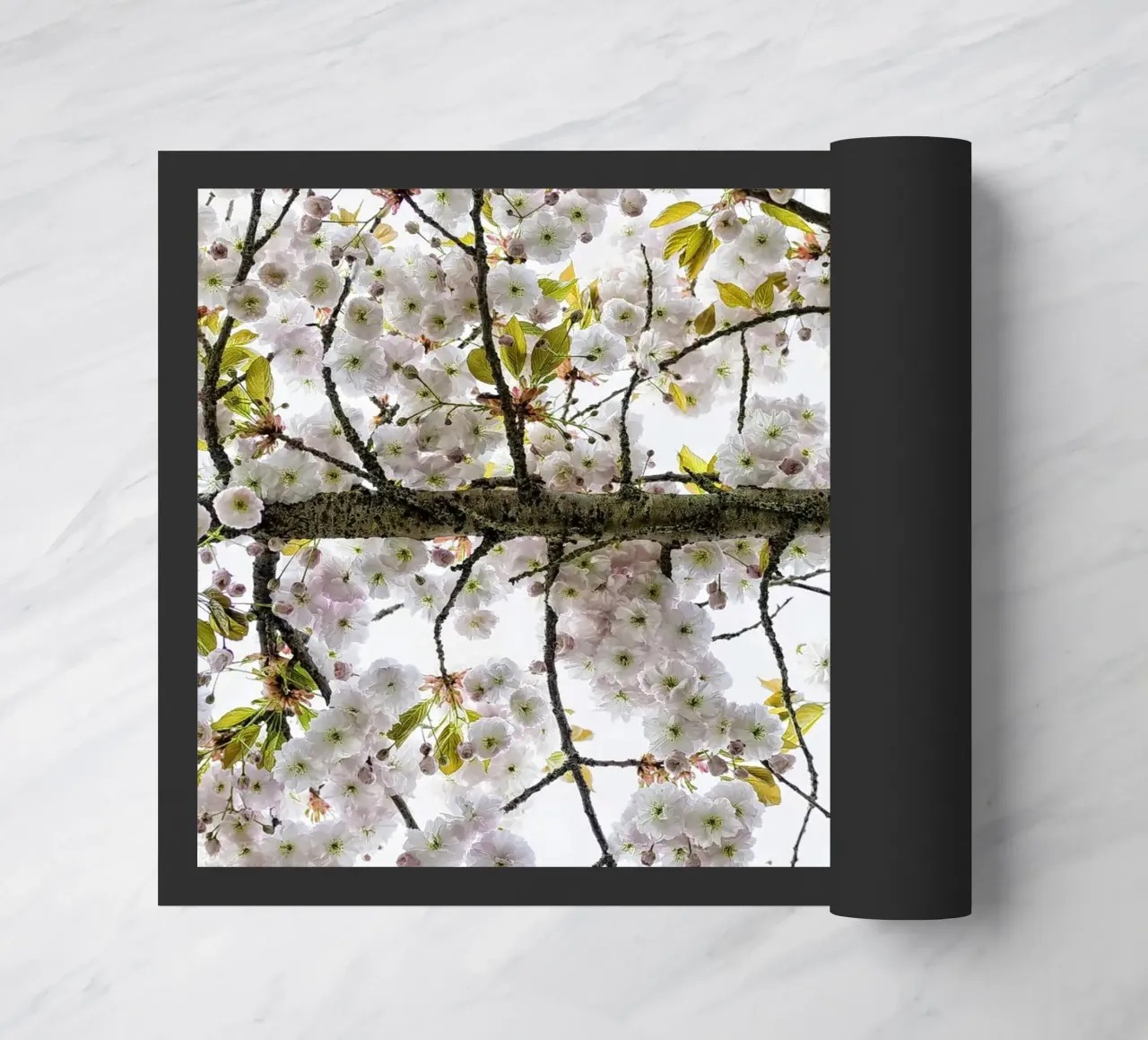 Underneath a Blossoming Tree zerbino da Curious Collections by Marielle Leenders