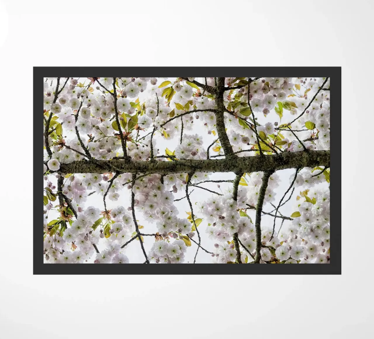 Underneath a Blossoming Tree doormat by Curious Collections by Marielle Leenders