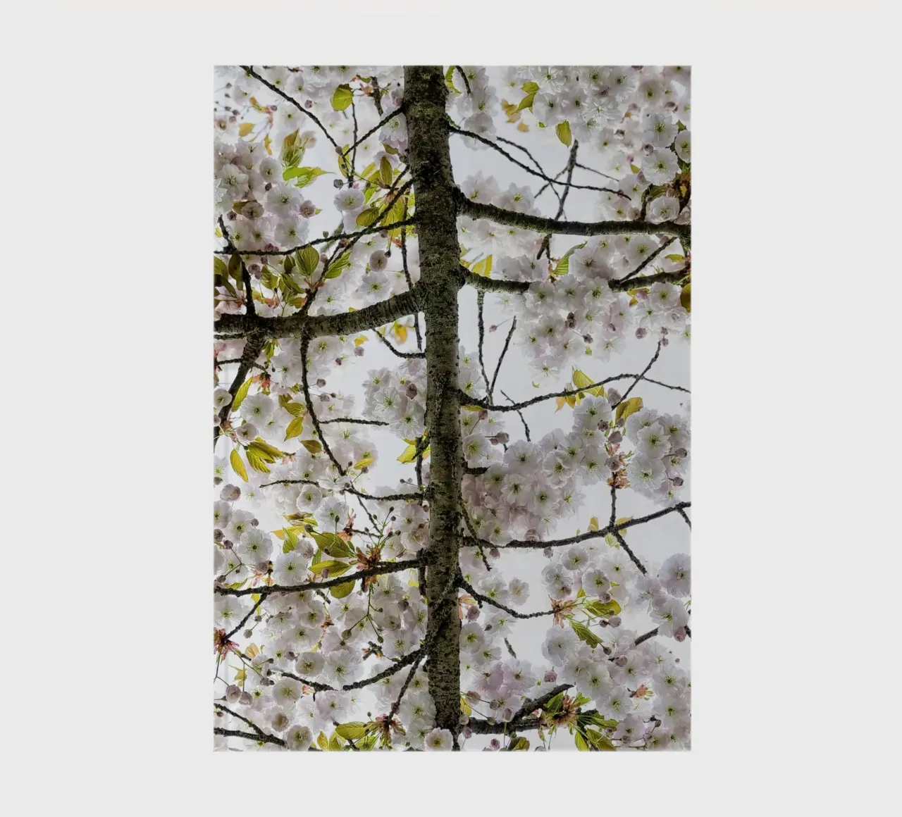 Underneath a Blossoming Tree notebook by Curious Collections by Marielle Leenders