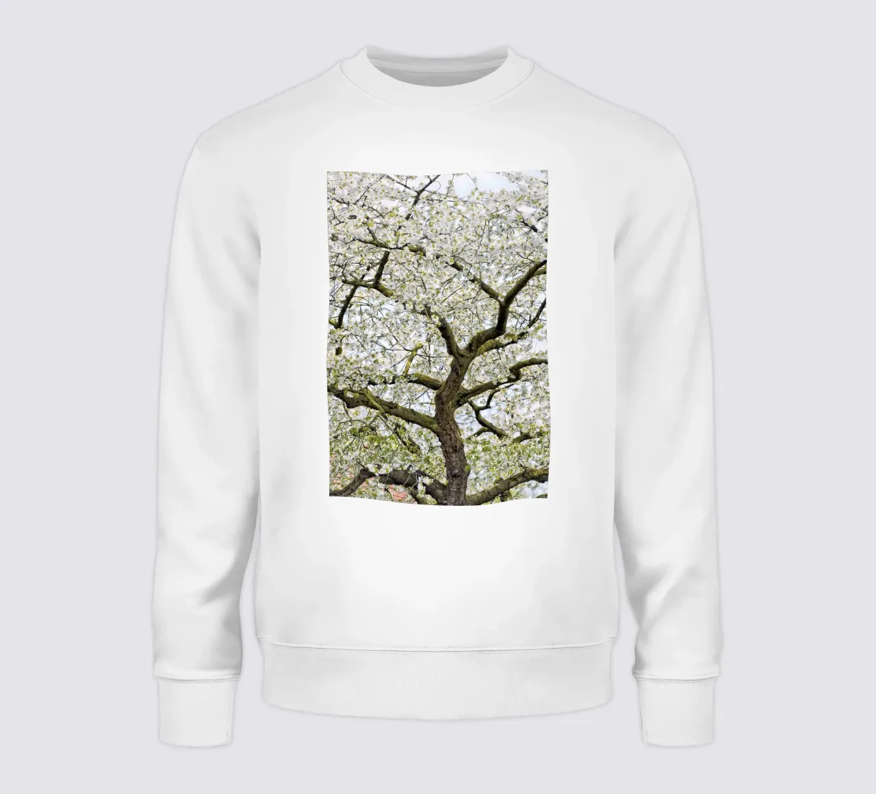 Tree with White Blossoms – A Peaceful Springtime Haven felpa da Curious Collections by Marielle Leenders