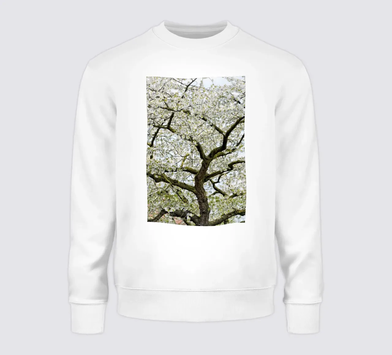 Tree with White Blossoms – A Peaceful Springtime Haven felpa da Curious Collections by Marielle Leenders