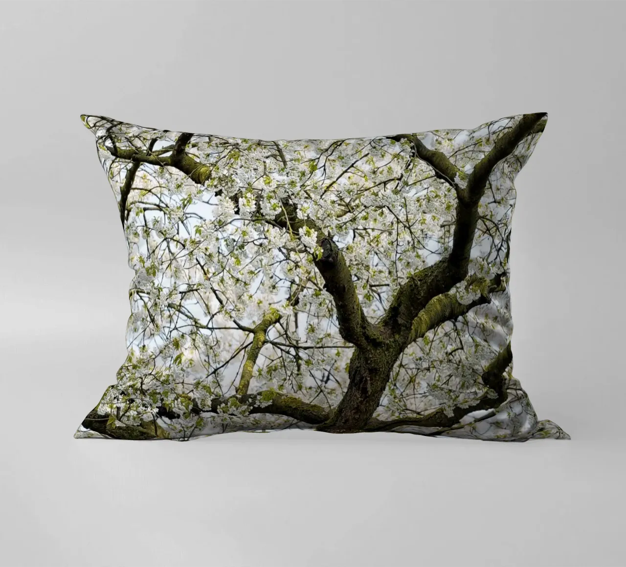 Tree with White Blossoms – A Peaceful Springtime Haven cuscino da Curious Collections by Marielle Leenders