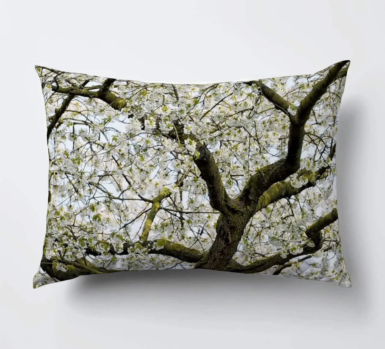 Tree with White Blossoms – A Peaceful Springtime Haven cuscino da Curious Collections by Marielle Leenders
