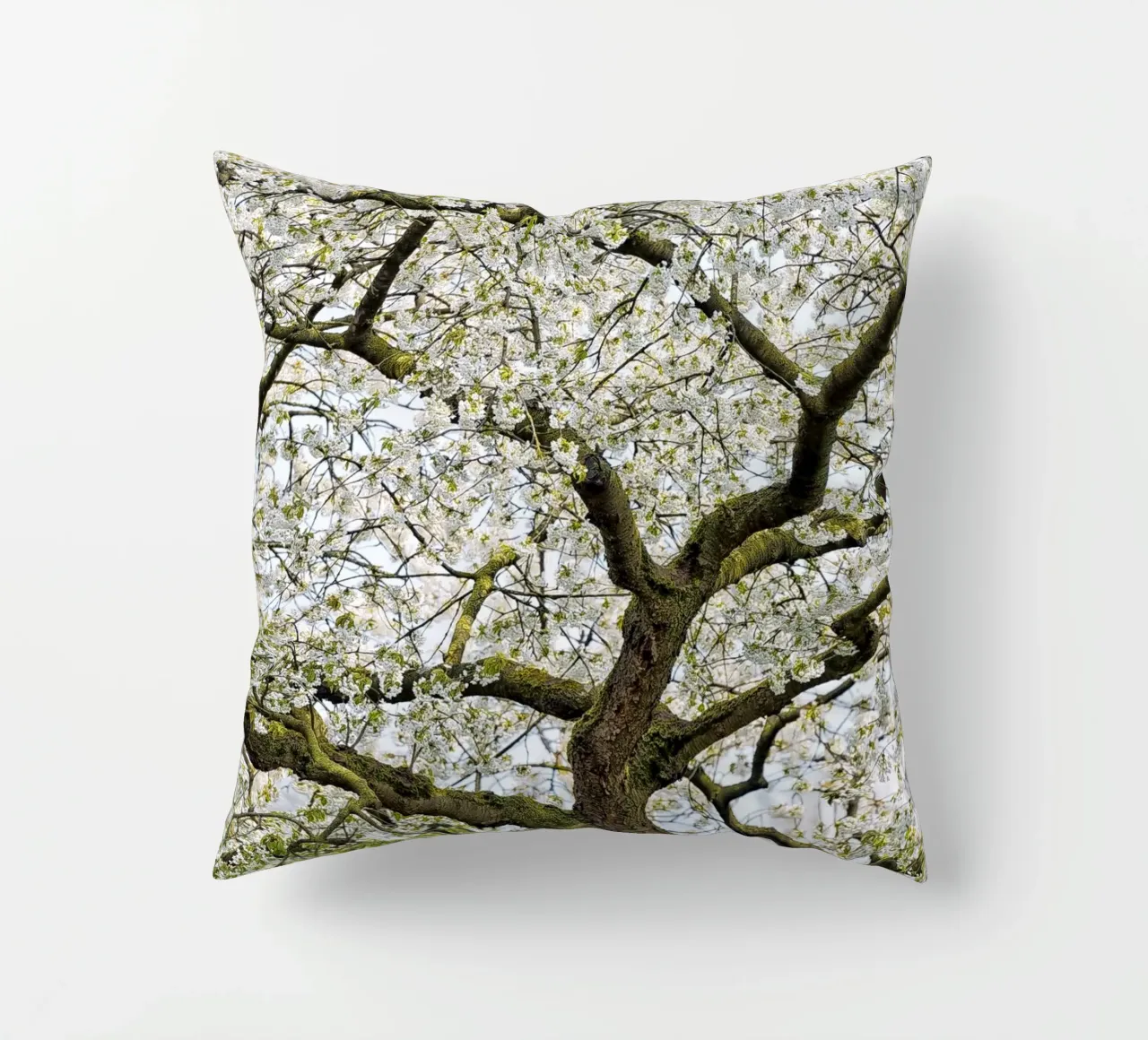 Tree with White Blossoms – A Peaceful Springtime Haven cuscino da Curious Collections by Marielle Leenders