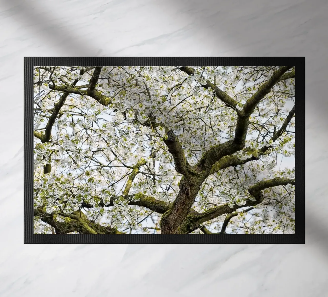 Tree with White Blossoms – A Peaceful Springtime Haven zerbino da Curious Collections by Marielle Leenders