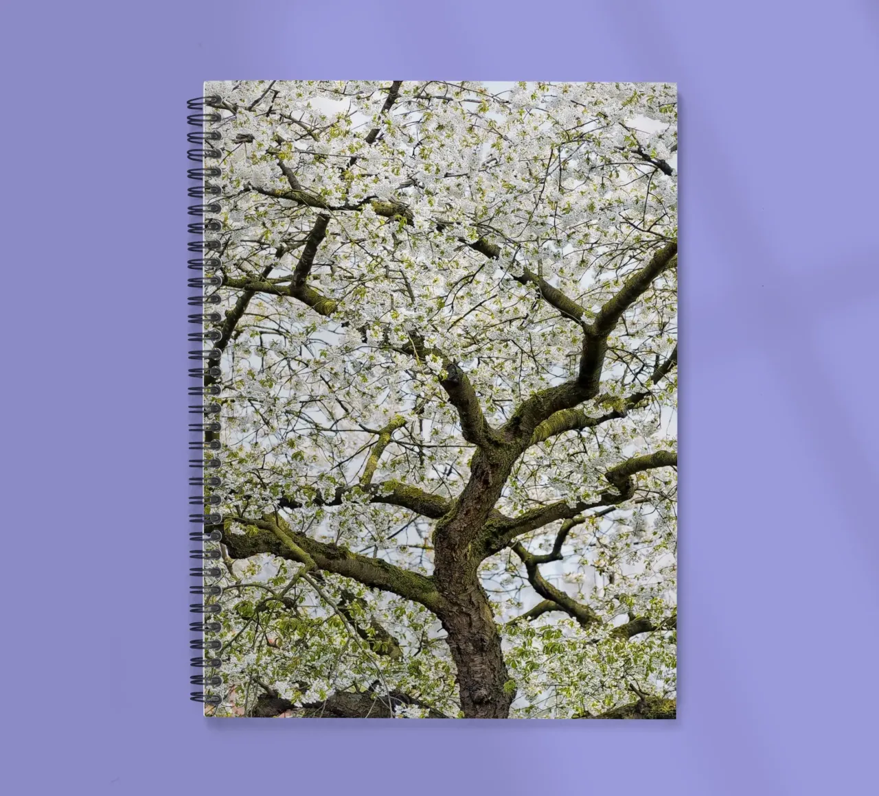 Tree with White Blossoms – A Peaceful Springtime Haven spiral notebook by Curious Collections by Marielle Leenders