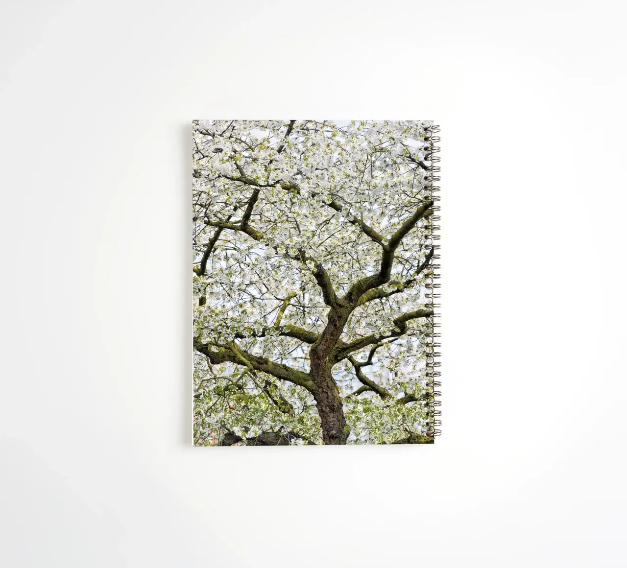Tree with White Blossoms – A Peaceful Springtime Haven spiral notebook by Curious Collections by Marielle Leenders