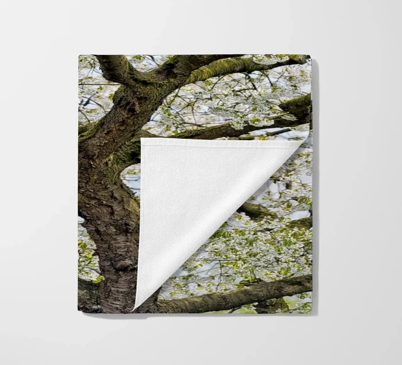 Tree with White Blossoms – A Peaceful Springtime Haven telo mare da Curious Collections by Marielle Leenders