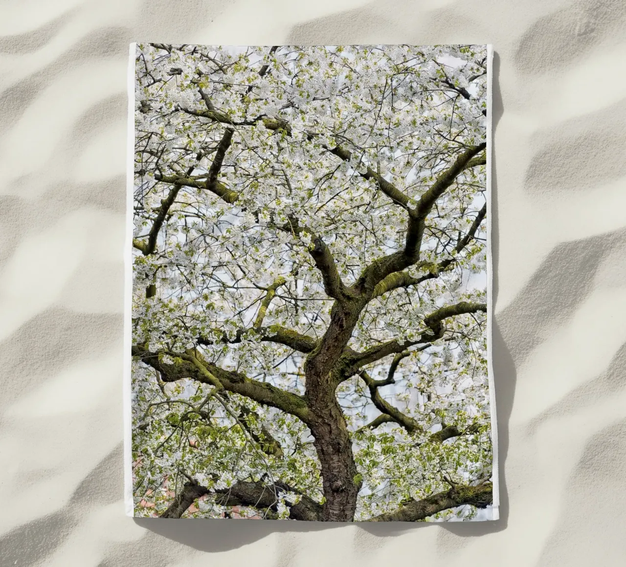 Tree with White Blossoms – A Peaceful Springtime Haven telo mare da Curious Collections by Marielle Leenders