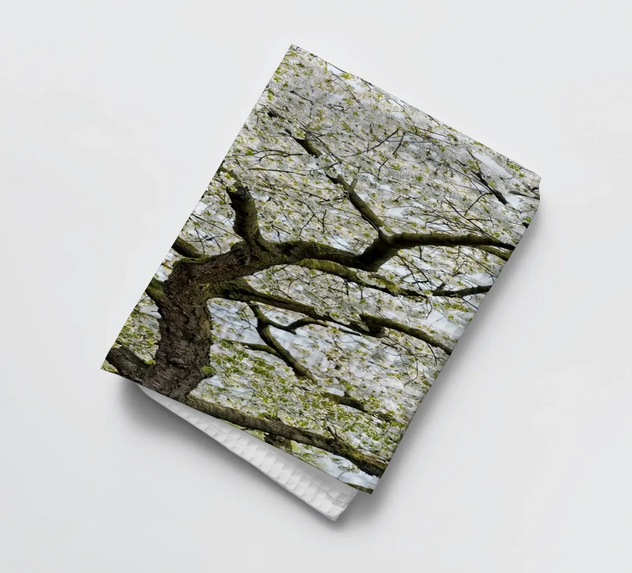 Tree with White Blossoms – A Peaceful Springtime Haven canovaccio da cucina da Curious Collections by Marielle Leenders