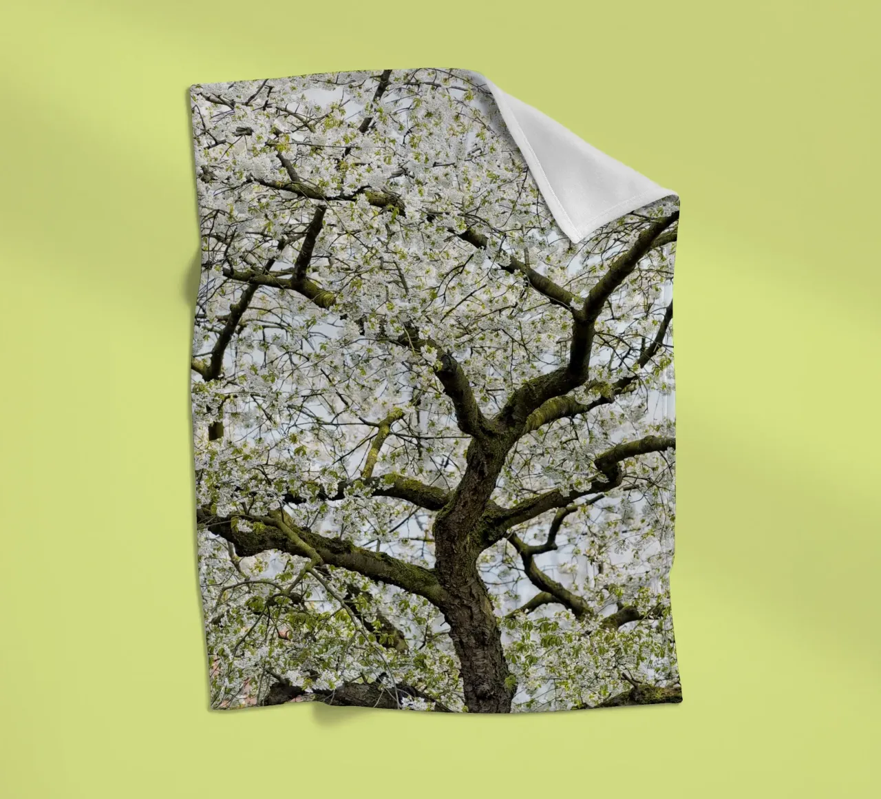 Tree with White Blossoms – A Peaceful Springtime Haven coperta in pile da Curious Collections by Marielle Leenders