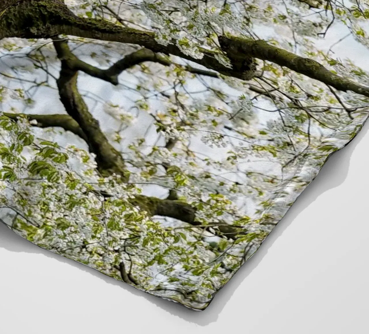 Tree with White Blossoms – A Peaceful Springtime Haven coperta in pile da Curious Collections by Marielle Leenders