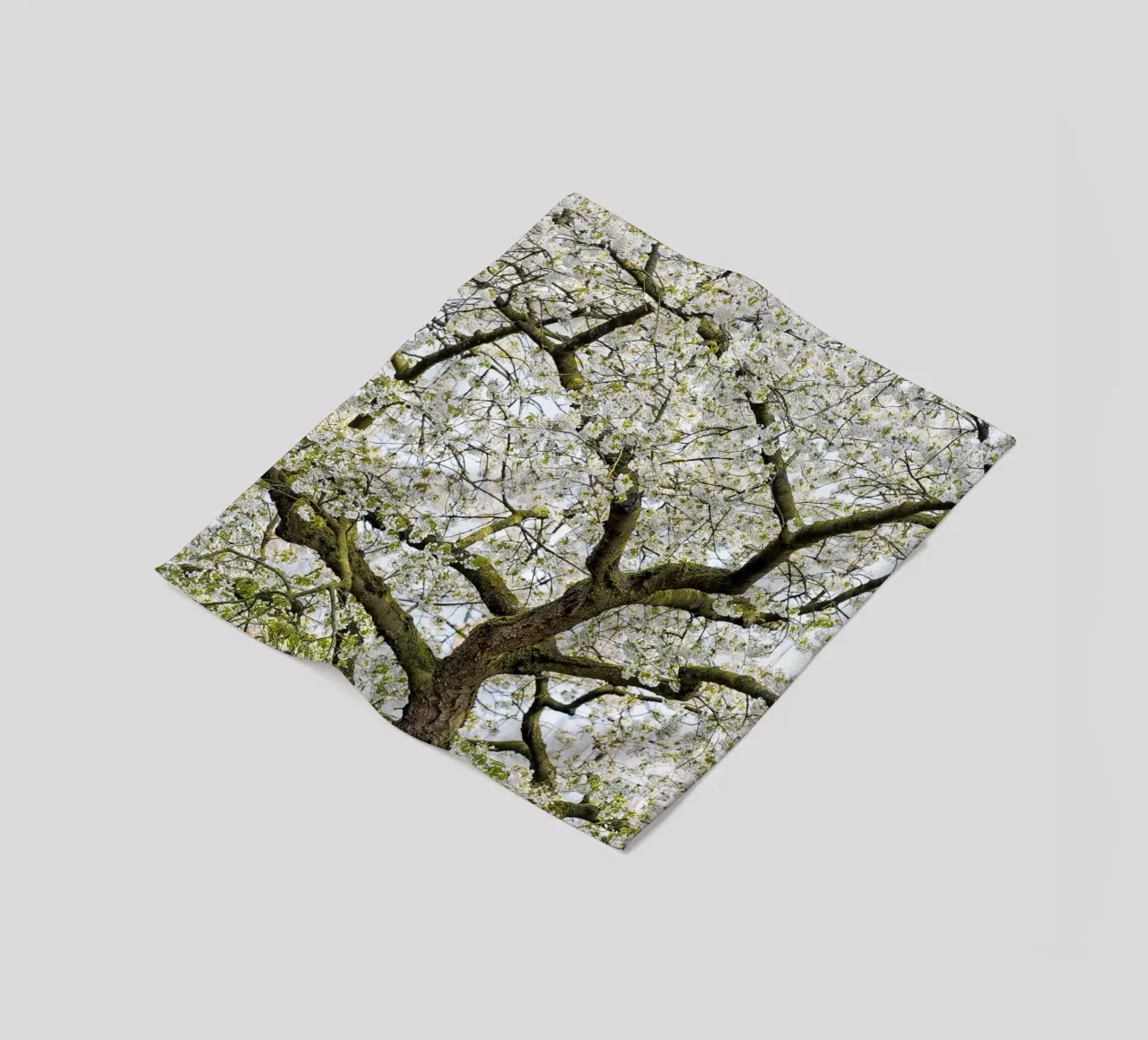 Tree with White Blossoms – A Peaceful Springtime Haven coperta in pile da Curious Collections by Marielle Leenders