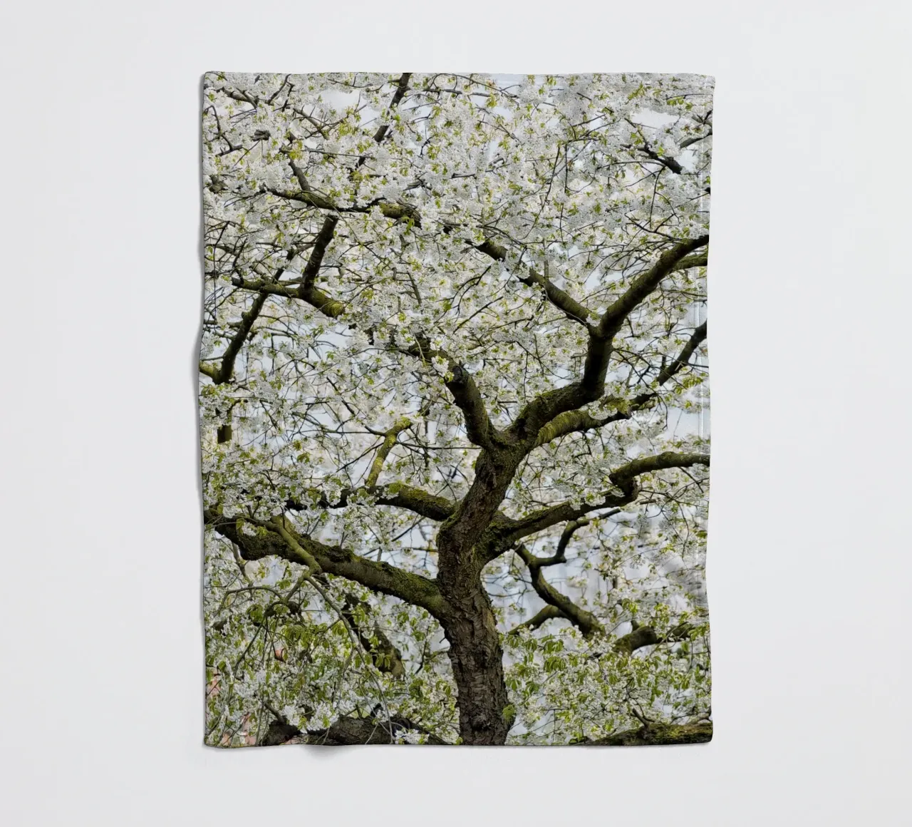 Tree with White Blossoms – A Peaceful Springtime Haven coperta in pile da Curious Collections by Marielle Leenders