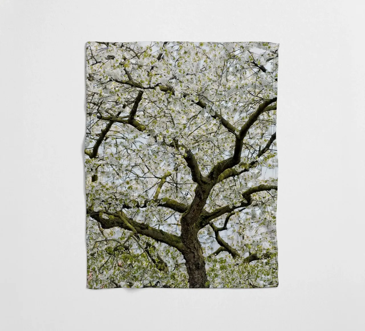 Tree with White Blossoms – A Peaceful Springtime Haven coperta in pile da Curious Collections by Marielle Leenders