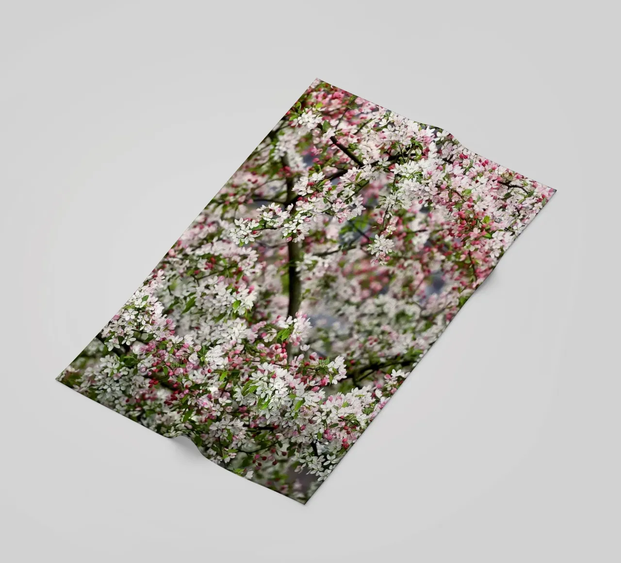 Delicate Blossoms – The Beauty of Soft Spring Blooms beach towel by Curious Collections by Marielle Leenders