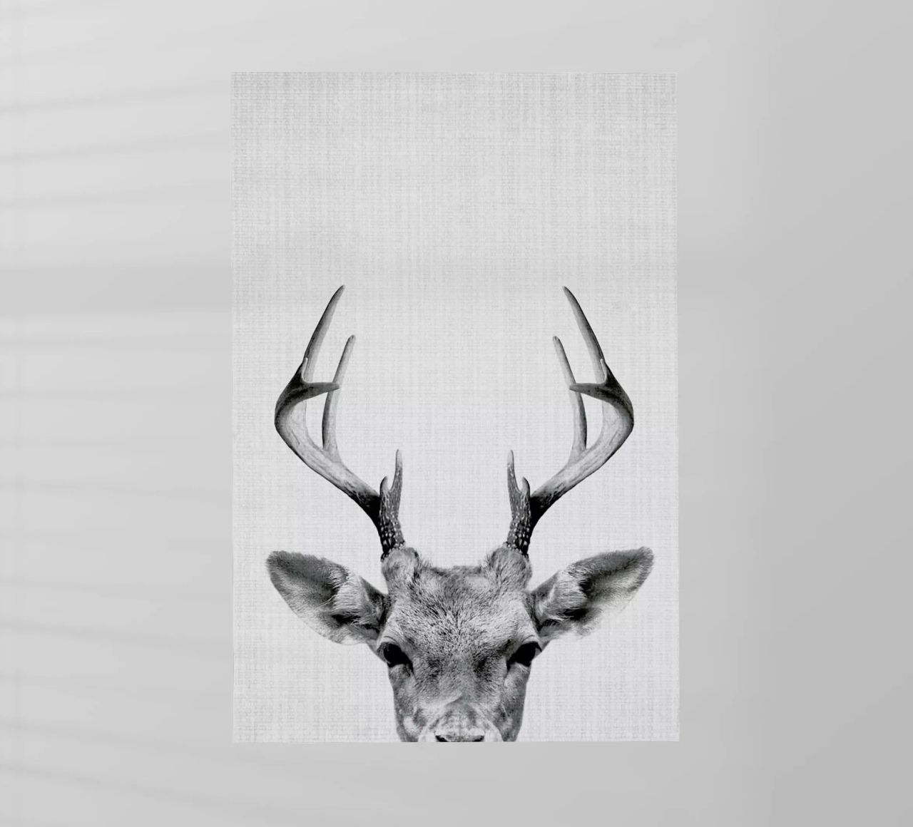 Print 38 pellicola backlit da Lila x Lola